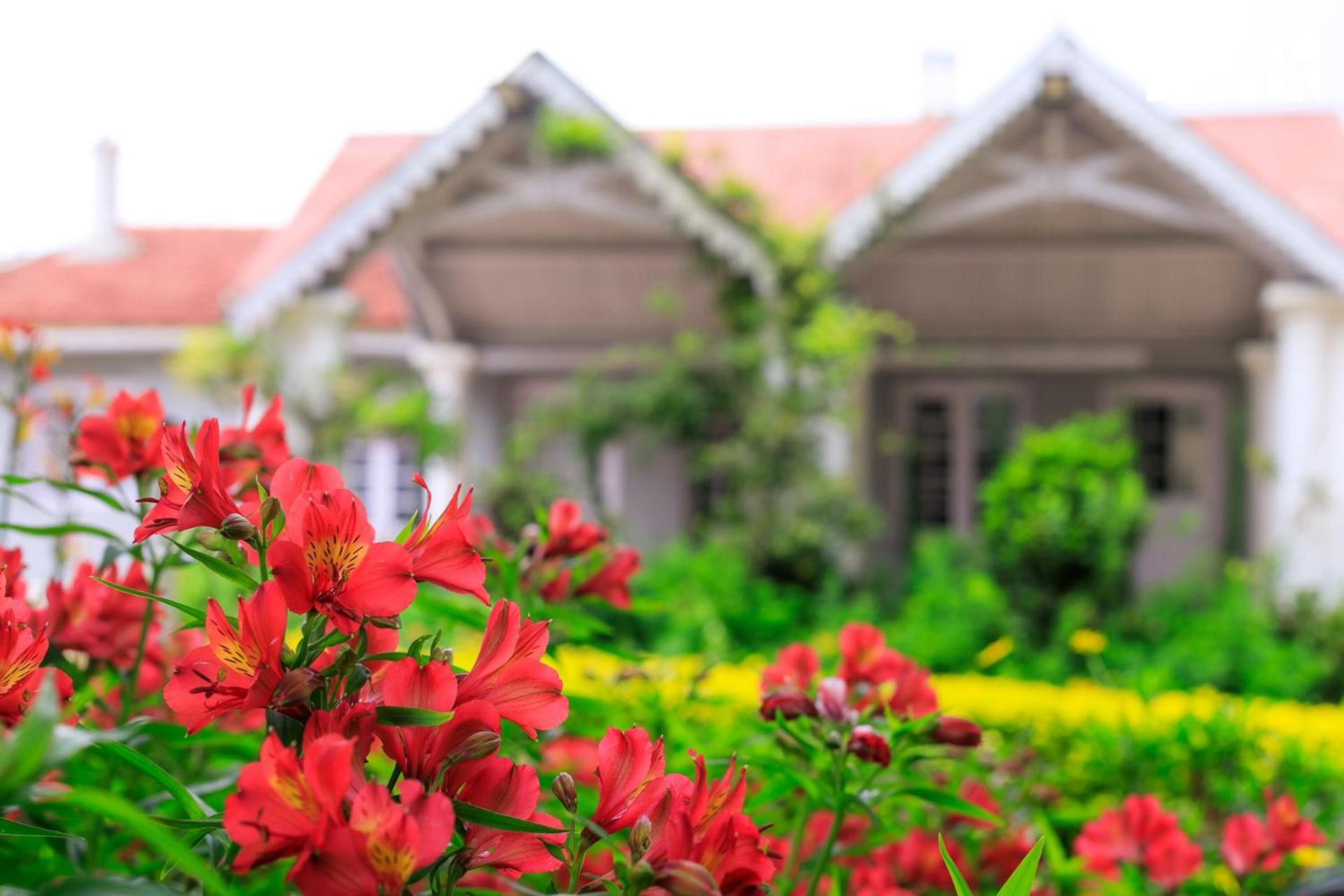 Stayvista At The Alcove With Breakfast & Bbq Grill Ooty Exterior foto
